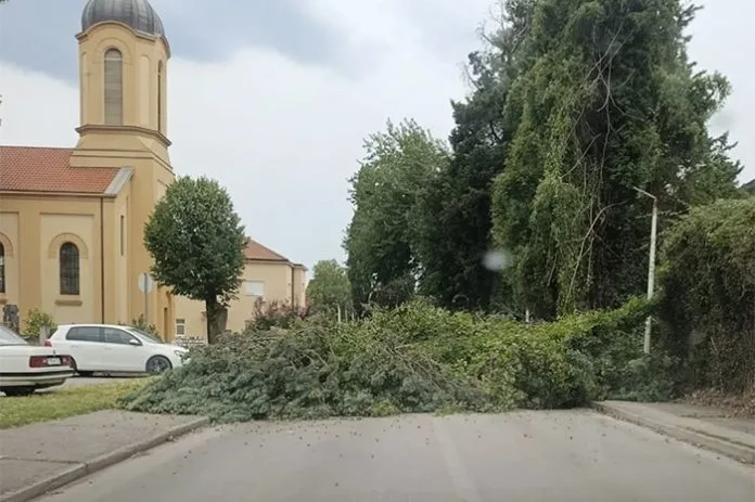 FOTO | Čapljina najpogođenija nevremenom: Stabla padala po cesti i