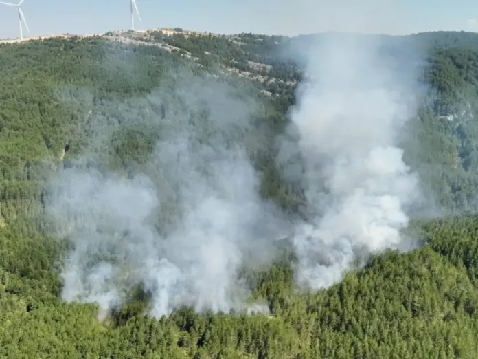 POŽAR na Oštrcu pod kontrolom, kiša olakšala posao vatrogascima