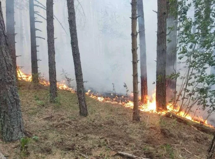 HBŽ: I požar u Drvaru pod kontrolom