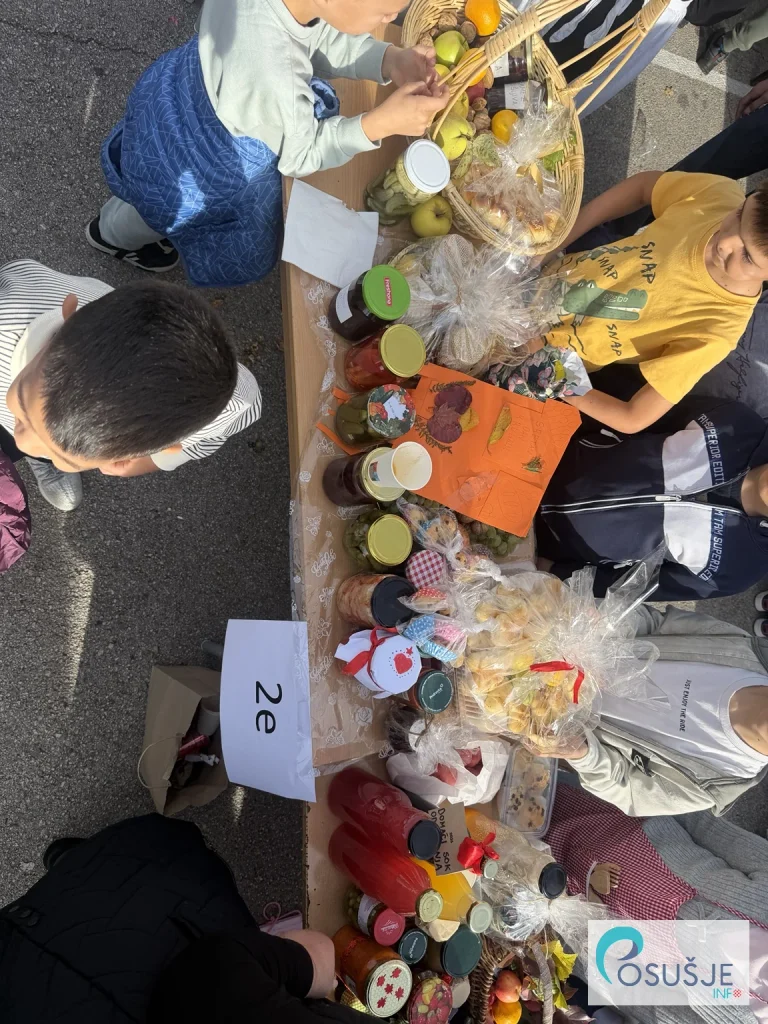 IMG 0773 768x1024 1